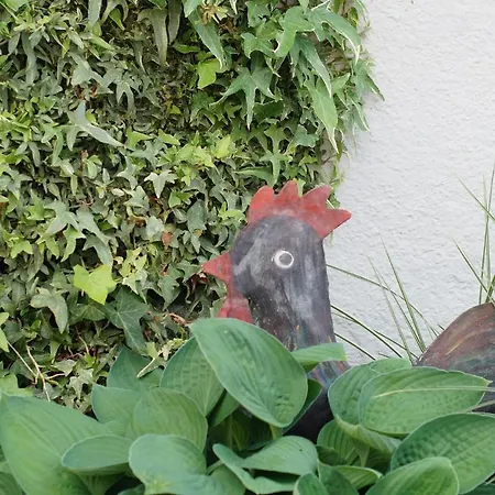 Barthel Apartman Gunzenhausen